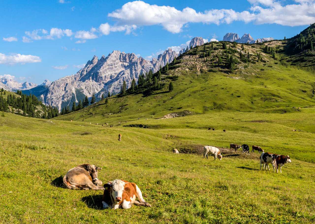 Panna Padania